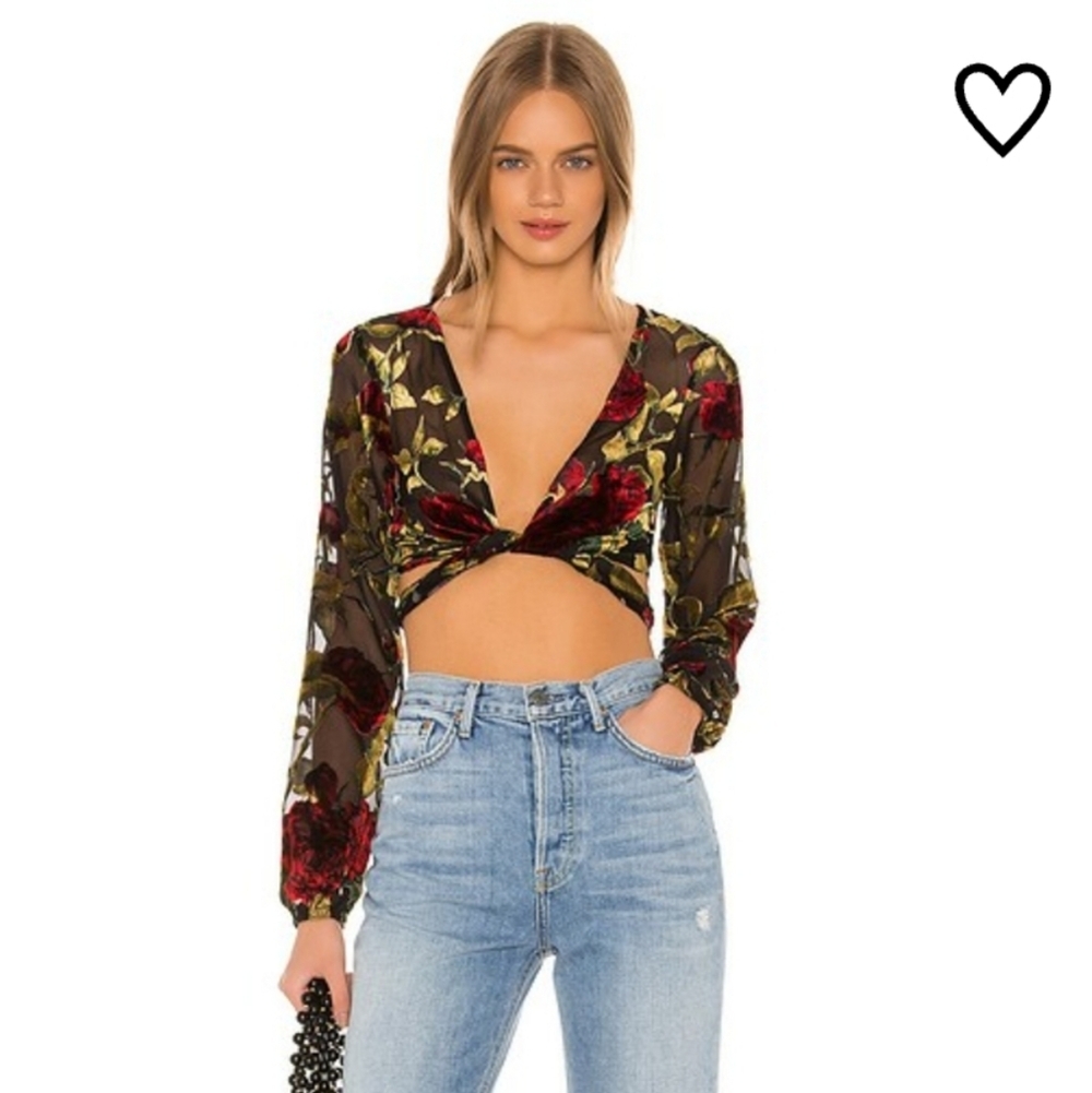 Superdown Sheer Velvet Floral Wrap Crop Top XS